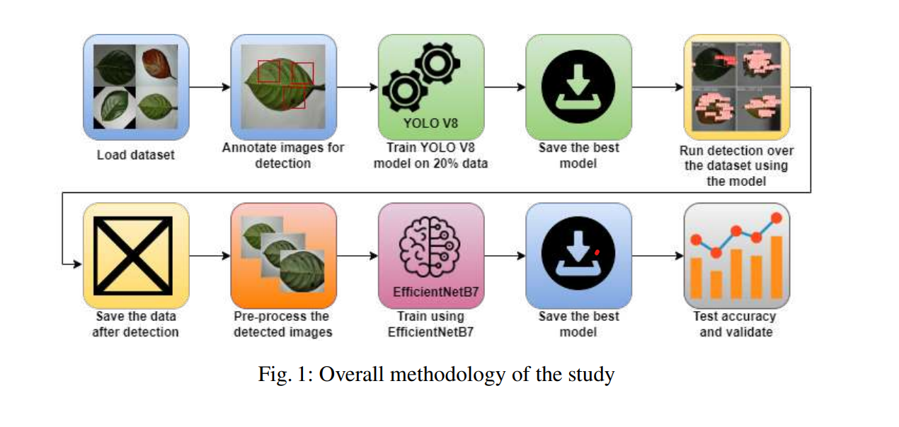 Automated Disease Detection and Classification in Jackfruit Leaves: An Efficient Deep Learning-Based Approach